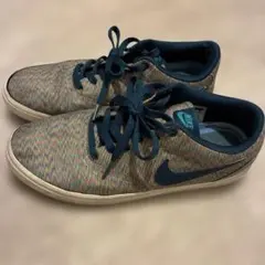 NIKE SB スニーカー マルチカラー