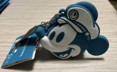 ディズニーシー 25周年 バッグチャーム ケース付き