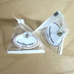 ディズニー　ネームプレート　キーホルダー　チップ　メール