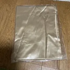 Item thumbnail for item d3c1d4e8-d14b-40b1-8a09-d9445f3e06f6