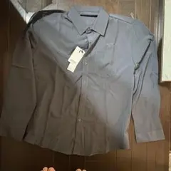 Item thumbnail for item c60589a2-782f-44e9-9026-00d0650c9d84