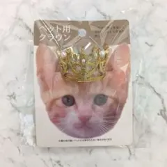 Item thumbnail for item fd96834b-27b6-418a-ab7a-d214c98972c4