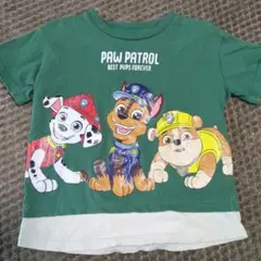 PAW PATROL 半袖シャツ キッズ用