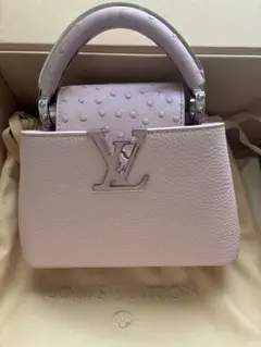 Louis Vuitton カプシーヌ MINI