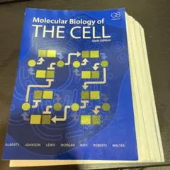 【裁断済】Molecular Biology of THE CELL 第6版のサムネイル