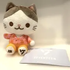 SEVENTEEN セブチ 猫 JUN ジュン マスコット 非売品 - メルカリ
