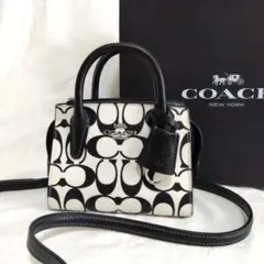COACH アンドレア ミニ キャリーオール ショルダーバッグシグネチャー