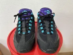 値下中Nike Air Max 95 GRAPE REVERSE 26cm 箱付
