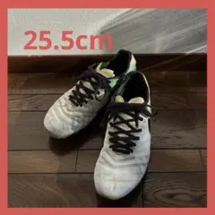 Item thumbnail for item eb42333c-046b-48ad-9616-d915bfa710e0