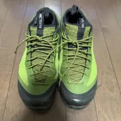 GORE-TEX アークテリクス　シューズのサムネイル