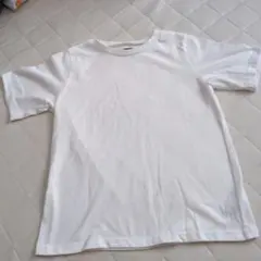 タグなし新品SUREVE 半袖Tシャツ ホワイト M