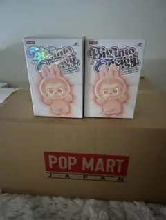 正規品・未開封】Labubu Big into Energy 2箱