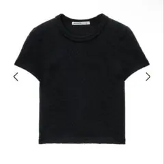 alexanderwang エンボスロゴTシャツのサムネイル