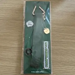 【購入者確定済】Mrs. GREEN APPLE デコレーションストラ