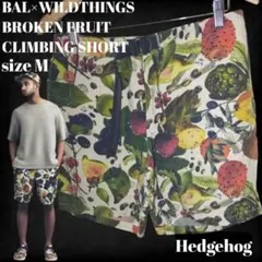 【別注】BAL WILDTHINGS バル ワイルドシングス ショートパンツ M