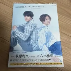 TVドラマ&劇場版「美しい彼」公式ビジュアルブック
