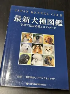 Item thumbnail for item c30399d0-284e-4252-9553-3c4773a208fc