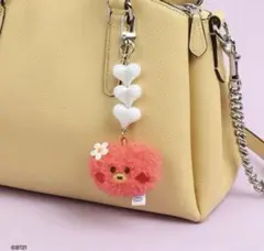 BT21 minini TATA BEADS PLUSH KEYRING