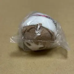 【新品未開封】あんさんぶるスターズ あんスタ 天満光 もちもちマスコット ミニ