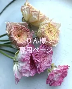 ♡りん様専用ページ♡ドライフラワースイトピー&ラナンキュラス♡
