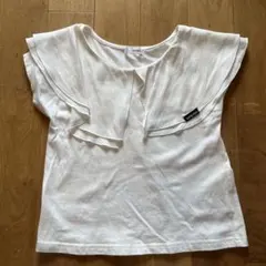 Item thumbnail for item 8c480359-271f-447e-9554-a6c3315edcc0