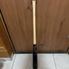 Item thumbnail for item faf9cde7-8f60-4400-9d05-ce11de2040c5