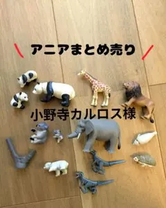 【小野寺カルロス様分】象なし　アニア　まとめ売り