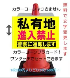 Item thumbnail for item 35128bc4-6ab9-4108-96f0-b87d35ea312c