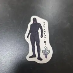 2026年最新】シュンスカイウォーカーの人気アイテム - メルカリ