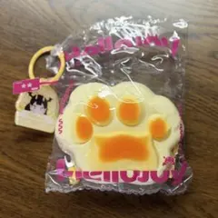 m*o様 Mellojoy 癒しの猫爪 チーズ爪