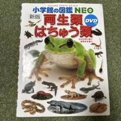 小学館の図鑑NEO 両生類・はちゅう類　DVD付き（110分）