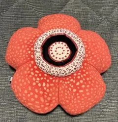 植物展限定 地球を支える仲間たち ラフレシア クッション 食虫植物 クッション 国立科学博物館 植物展 ラフレシア クッション ぬいぐるみ 限定 グッズ