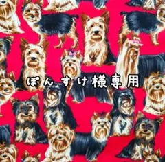 ぽんすけ様専用♡　USAコットン　♡ヨークシャーテリア柄♡ 　犬柄　輸入生地