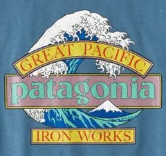新品 パタゴニア メキシコ製 グレート ウェーブス レスポンシビリティー Tee