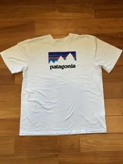 patagonia ホワイト Tシャツ Lサイズ