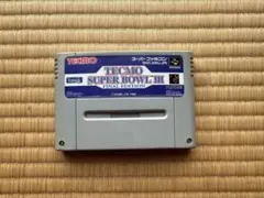 TECMO SUPER BOWL III FINAL EDITION