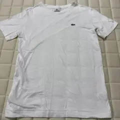 LACOSTE ホワイト Tシャツ サイズ2