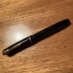 プラチナ 14K 14金 万年筆 ショート 両面書き 2way 中字 黒 廃盤