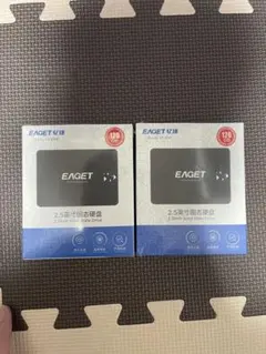 EAGET 120GB 2.5インチSATA SSD 2台セット