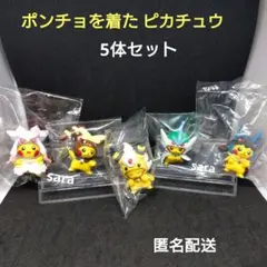 P*o様 ポンチョを着たピカチュウ メガレックウザ フィギュア - メルカリ