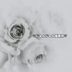 ♡じゅんじゅん様専用♡