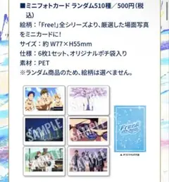 【Free! 10th -MS- ミニフォトカード】鮫柄学園2枚