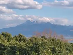 まんまちゃん様専用です。