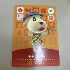 どうぶつの森 あつ森キャラメル amiiboカード