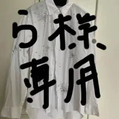 ZARA ビジュー装飾 ホワイト 長袖シャツ XSのサムネイル