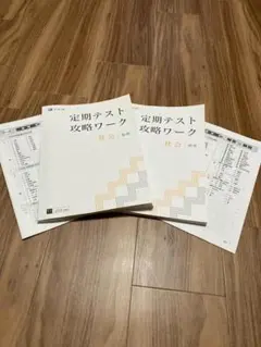 定期テスト攻略ワーク 社会 地理 歴史（Z会）