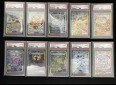 PSA10 10連番 テラスタルフェスex　ブイズSAR ブラッキー