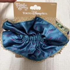 ディズニー　ファンタジースプリングス　アナと雪の女王　エルサ　アナ　シュシュ