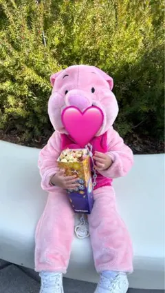 Disney ディズニー　コスチューム　ピグレット