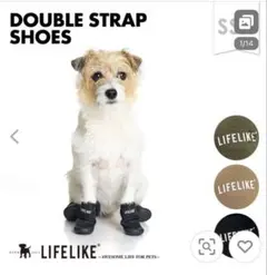 Item thumbnail for item 4f450a6e-da39-4607-80ec-2912b5332f10